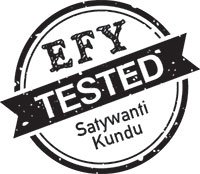 EFY Tested DIY Project